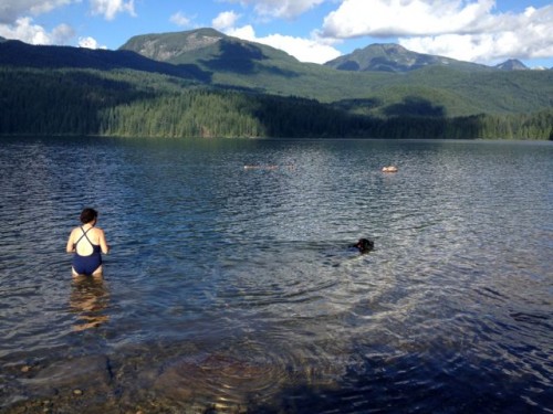 Lots of swimming at Dodd Lake
